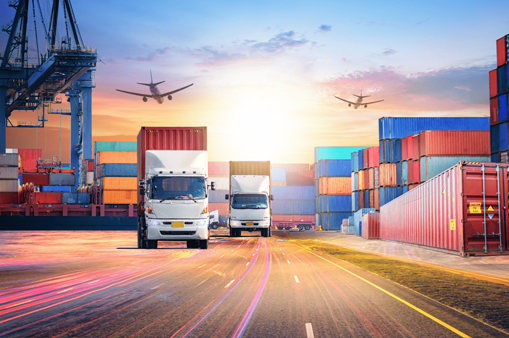 Import-Export Customs